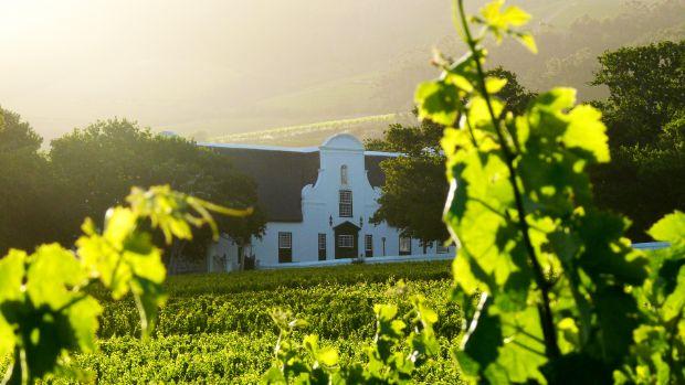 Groot Constantia - Image 2 Groot Constantia - Image 2